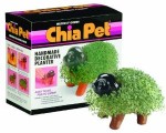 Chia Egg Replacement/Substitute