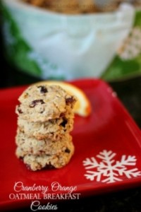 Cranberry Orange Oatmeal Breakfast Cookies - Gluten Free, Vegan